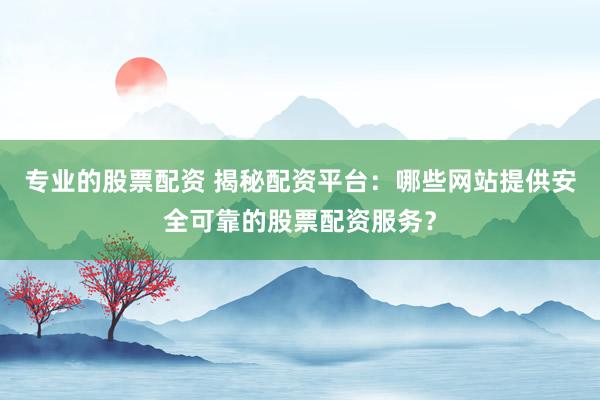 专业的股票配资 揭秘配资平台：哪些网站提供安全可靠的股票配资服务？