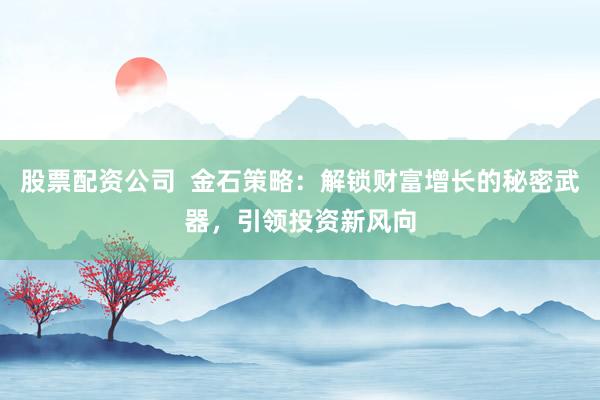 股票配资公司  金石策略：解锁财富增长的秘密武器，引领投资新风向