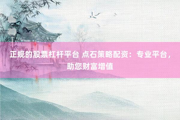 正规的股票杠杆平台 点石策略配资：专业平台，助您财富增值