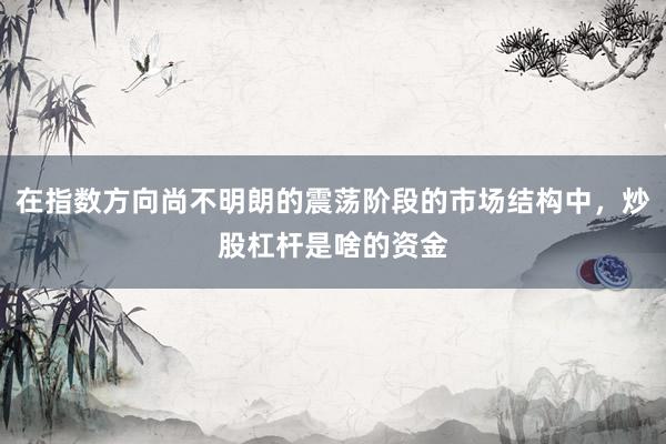 在指数方向尚不明朗的震荡阶段的市场结构中，炒股杠杆是啥的资金