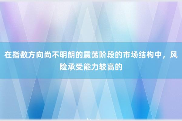 在指数方向尚不明朗的震荡阶段的市场结构中，风险承受能力较高的