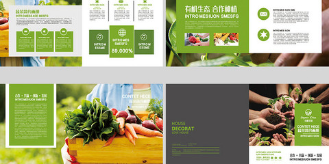 绿色大气时尚果蔬产品画册